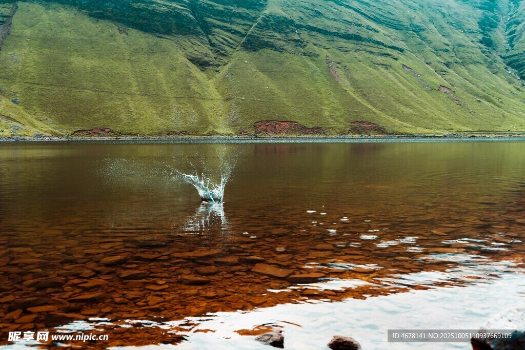湖畔飞鸟自然静谧之景