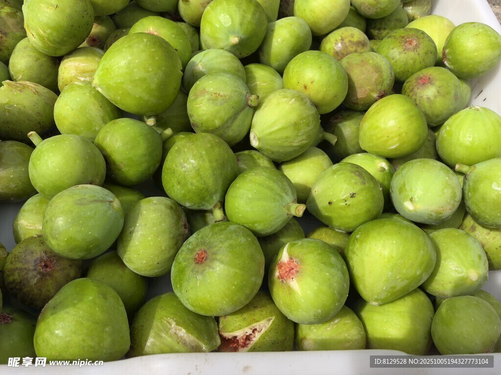 新鲜青皮无花果果实堆