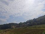 乡村田野风光美景