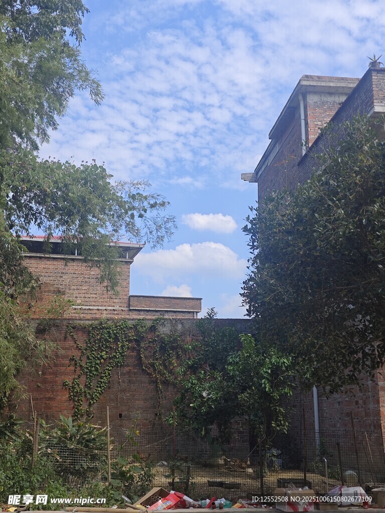 庭院景致