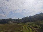 乡村田野风光美景