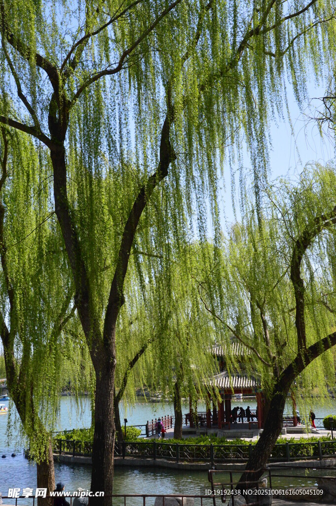 公园风景 