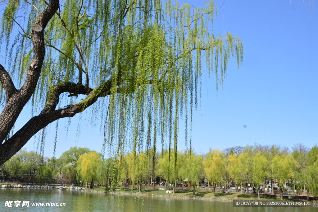 公园风景  