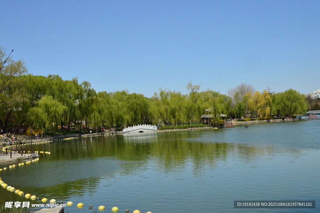 公园风景 