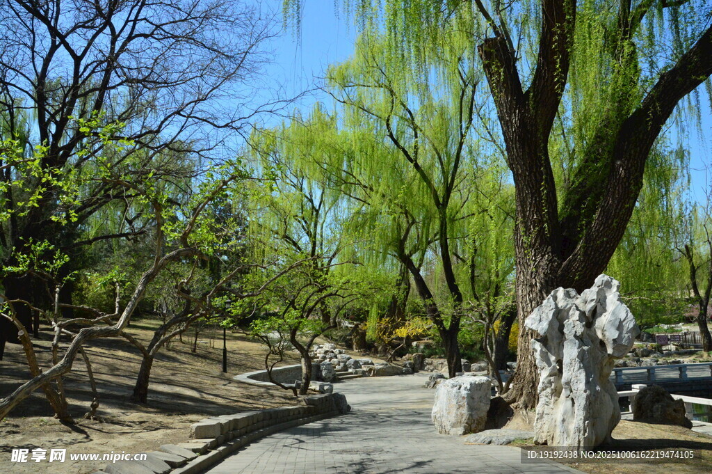 公园风景 