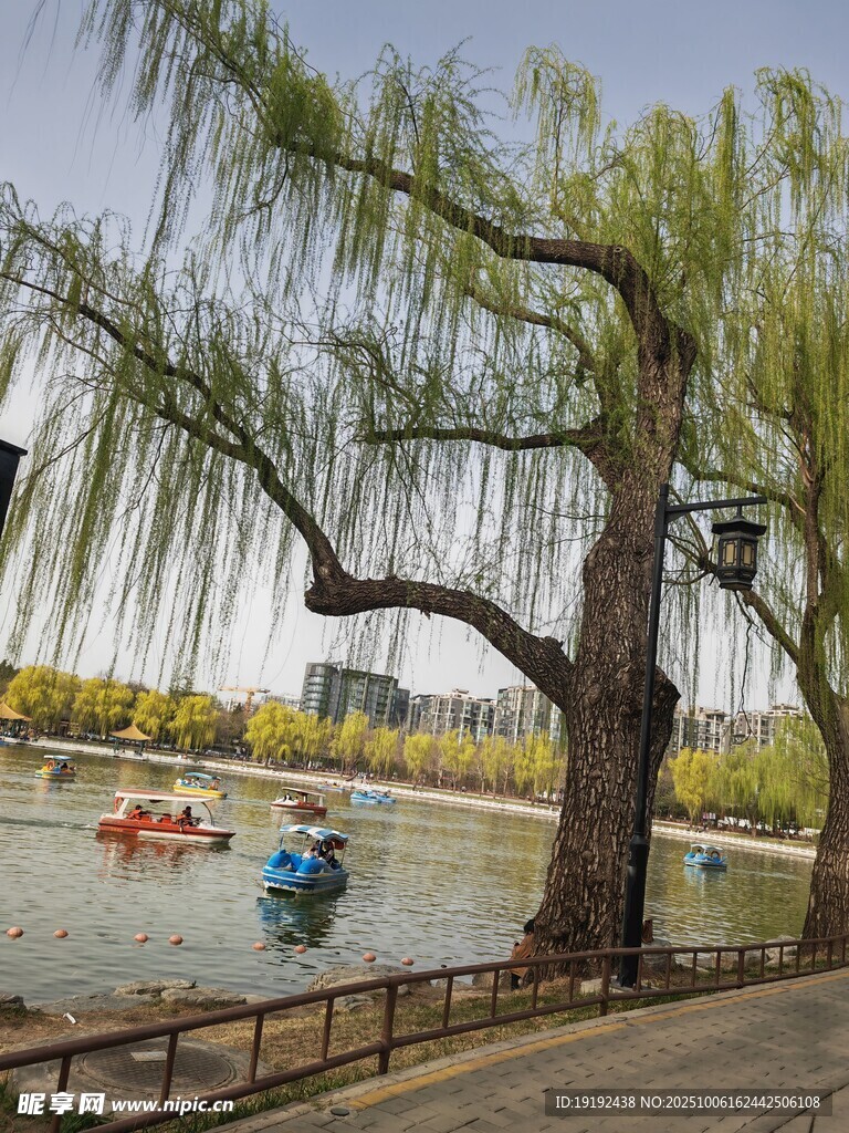 公园风景  