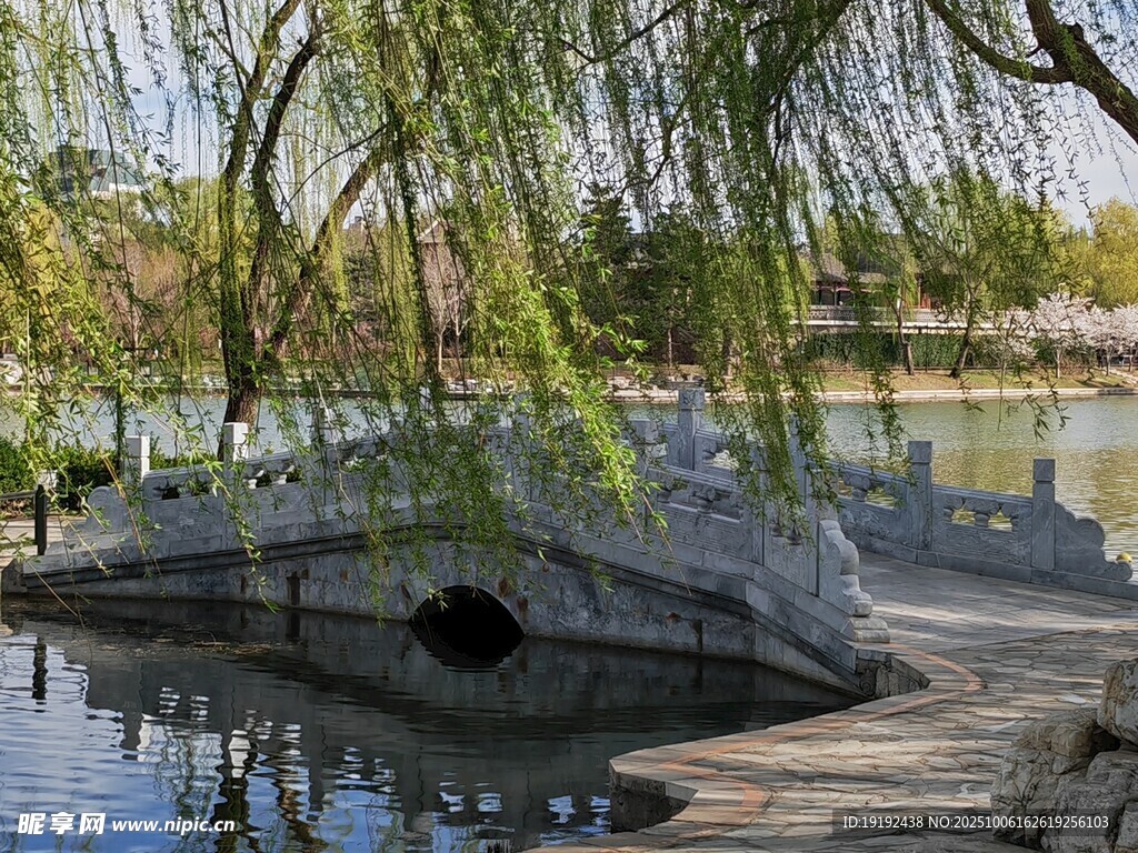 公园风景  