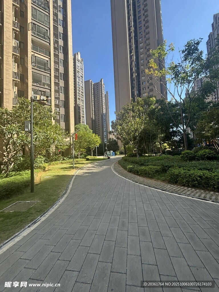 城市中的静谧林荫步道