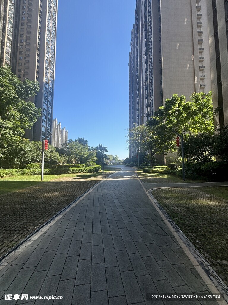 城市中的静谧林荫步道