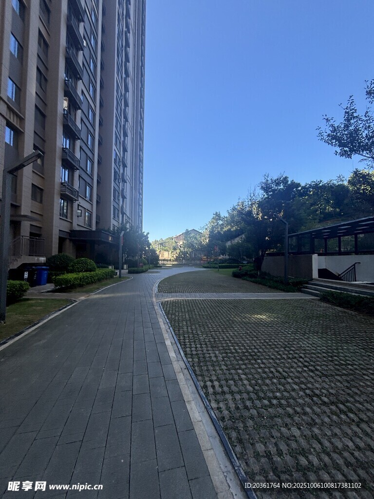 小区内的宁静道路