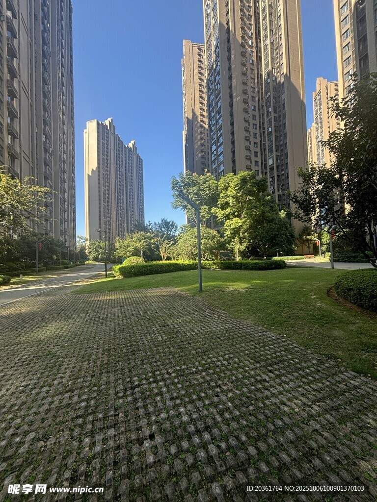 城市中的绿地与高楼景观