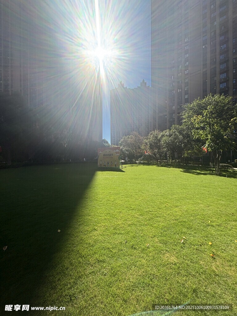 阳光照耀下的城市绿地