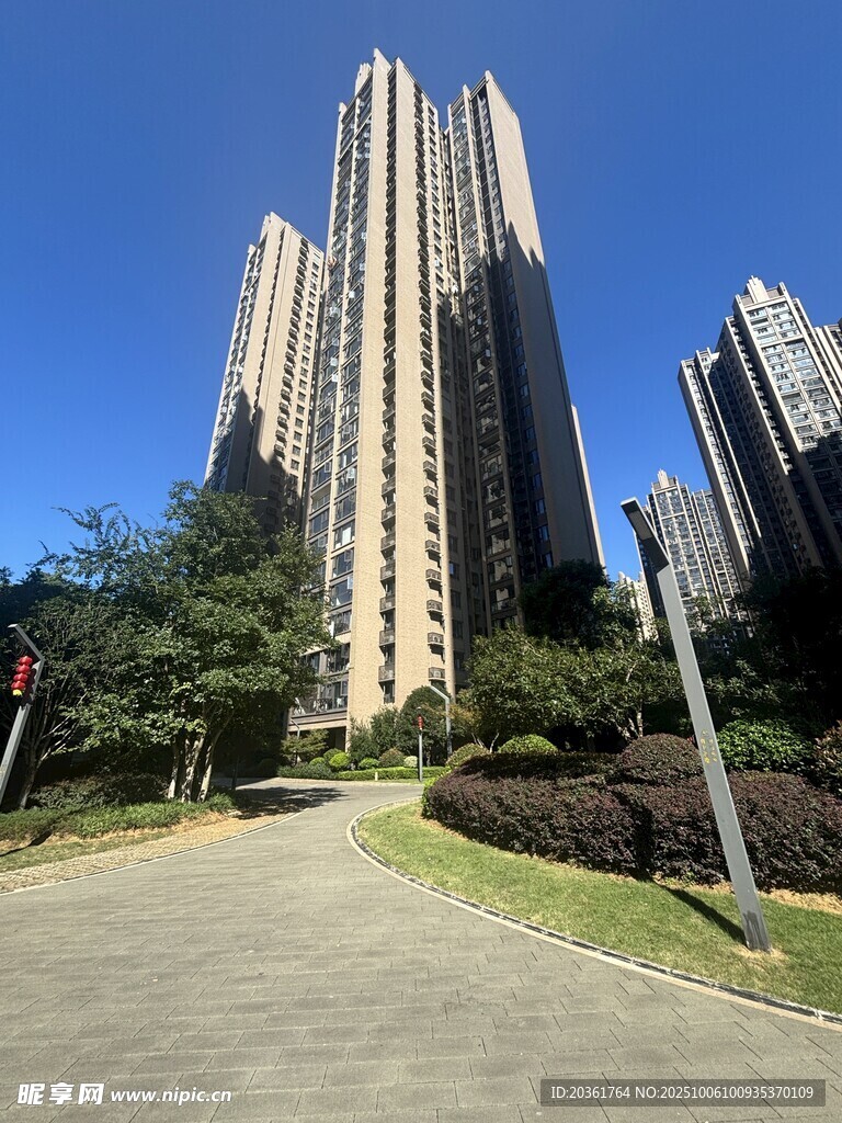 城市高楼旁的宁静小路