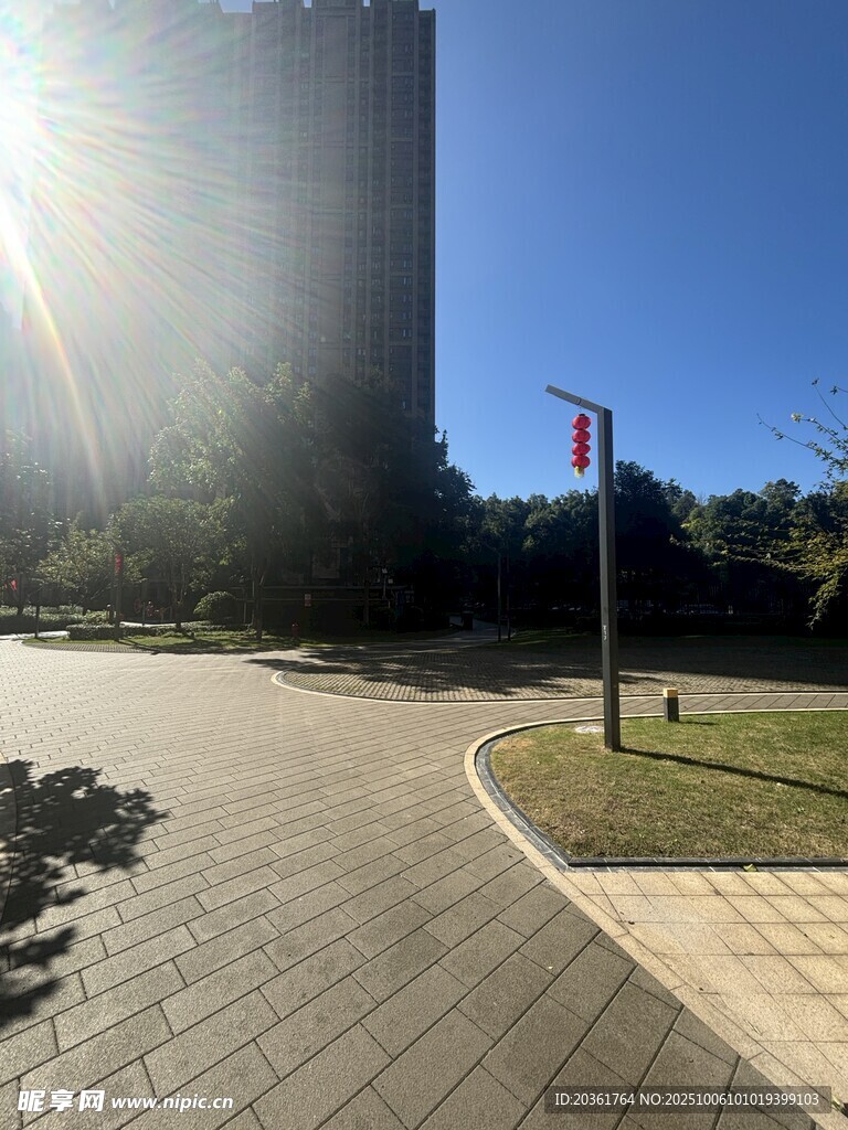 阳光照耀下的城市道路景观