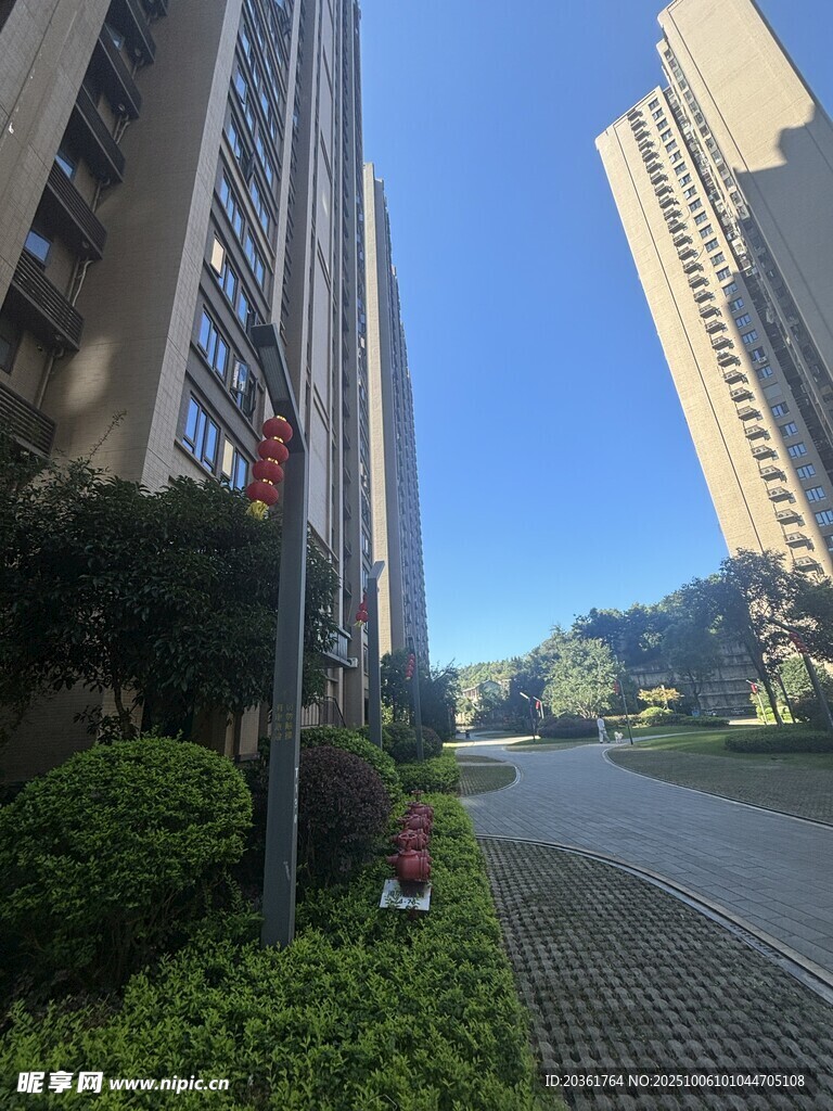 城市小区中的林荫步道