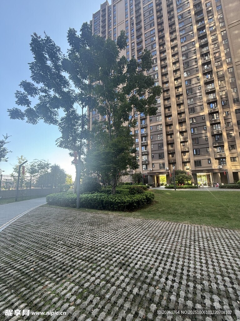 高层住宅旁的绿化景观