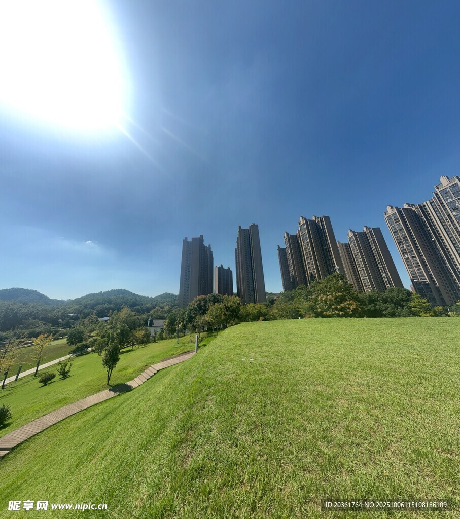 城市绿地旁的高楼景观