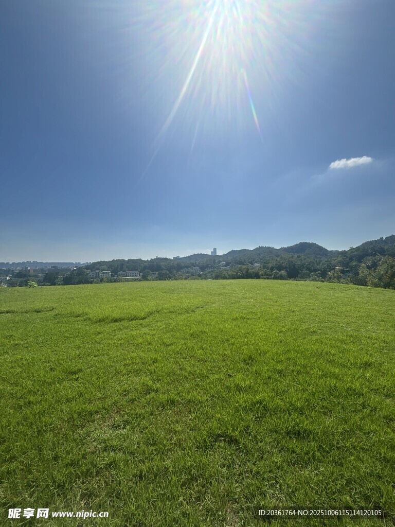 阳光照耀下的广袤绿草地