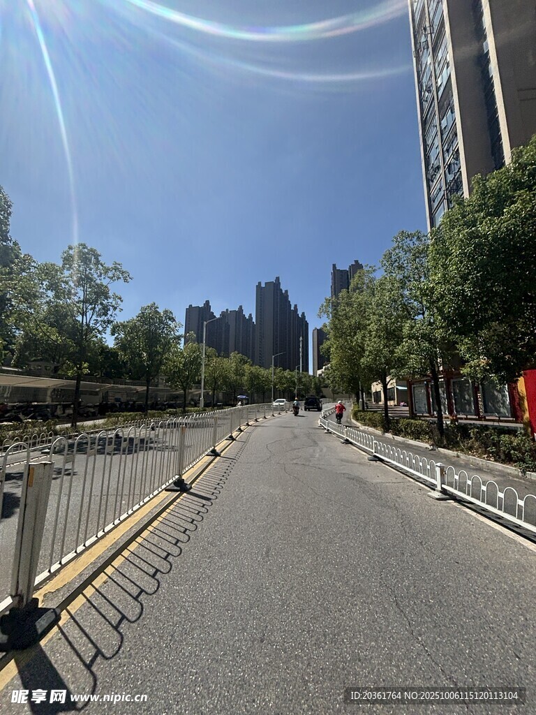 城市道路旁的绿植与建筑