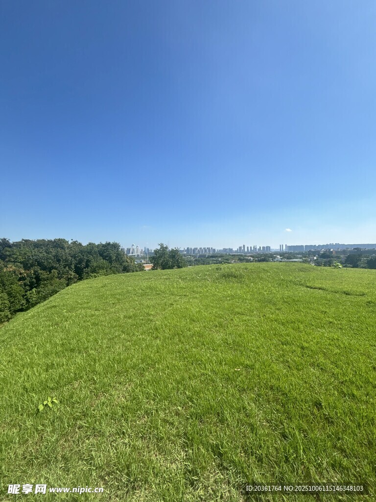 广袤绿野