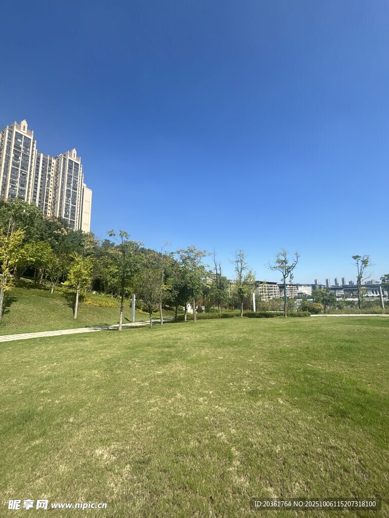 城市中的开阔绿地景观