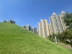 城市中绿意盎然的坡地景观