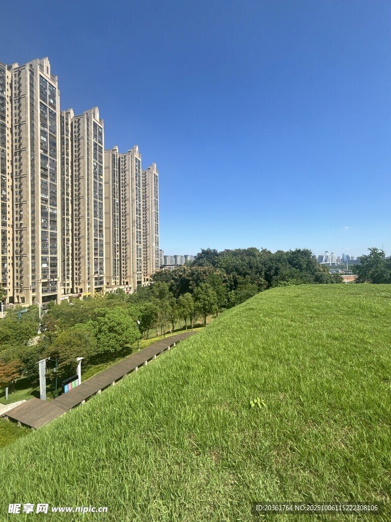 高楼旁的翠绿草地景观