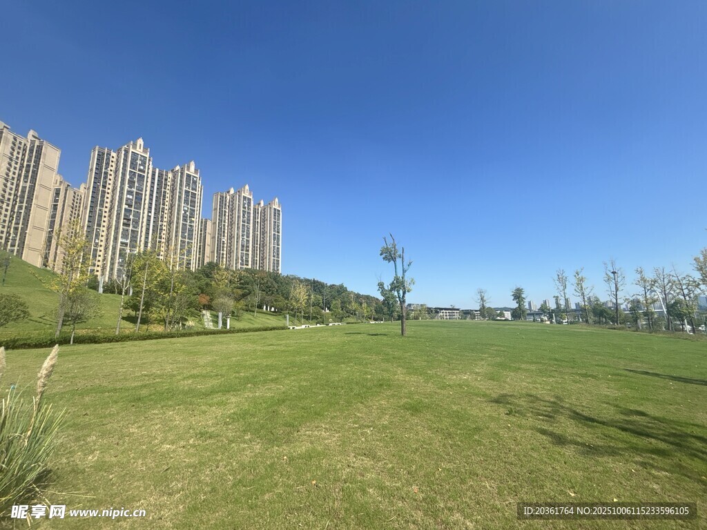 城市绿地旁的高层住宅区