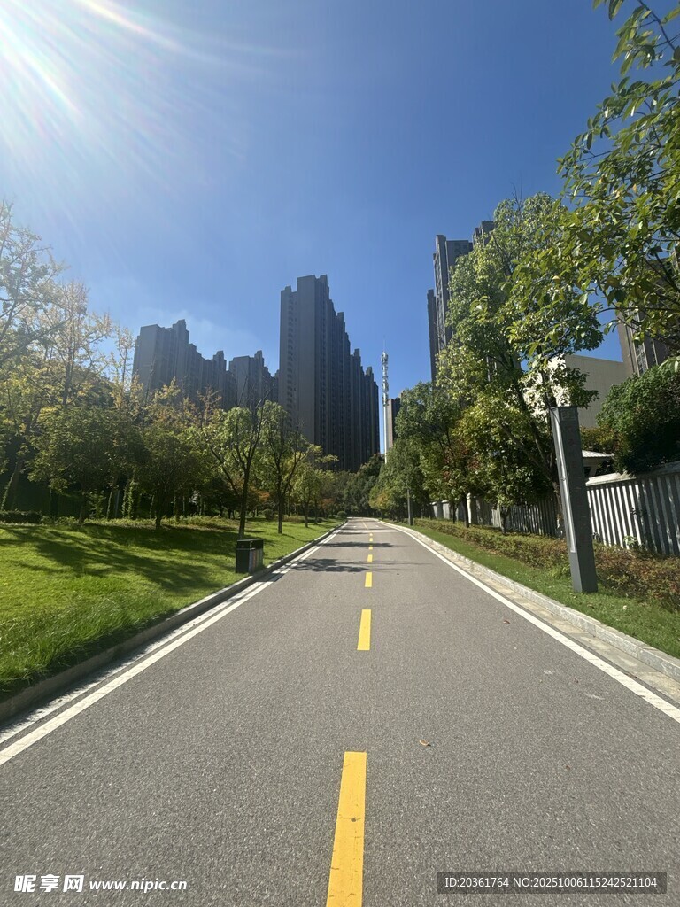 城市林荫路