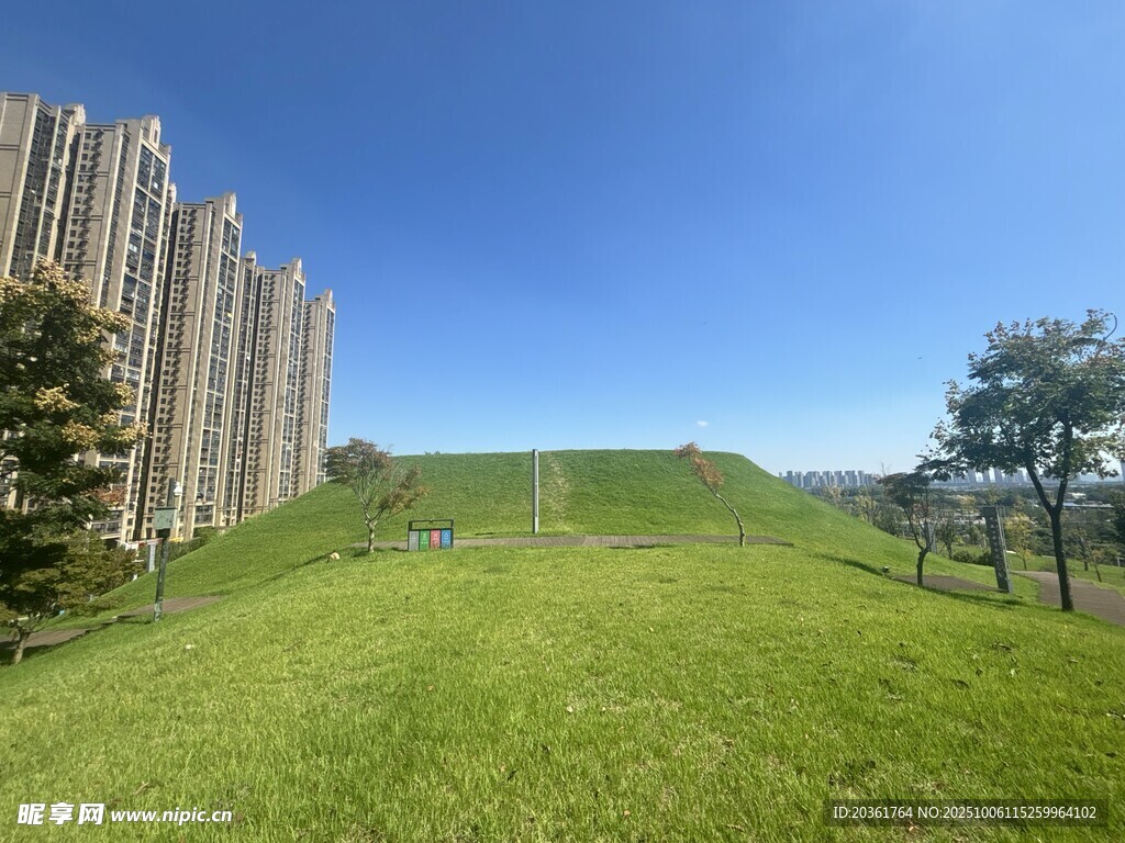 城市旁的翠绿草地景观