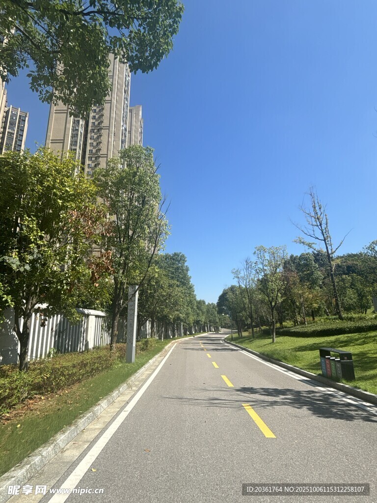 城市林荫道路风景