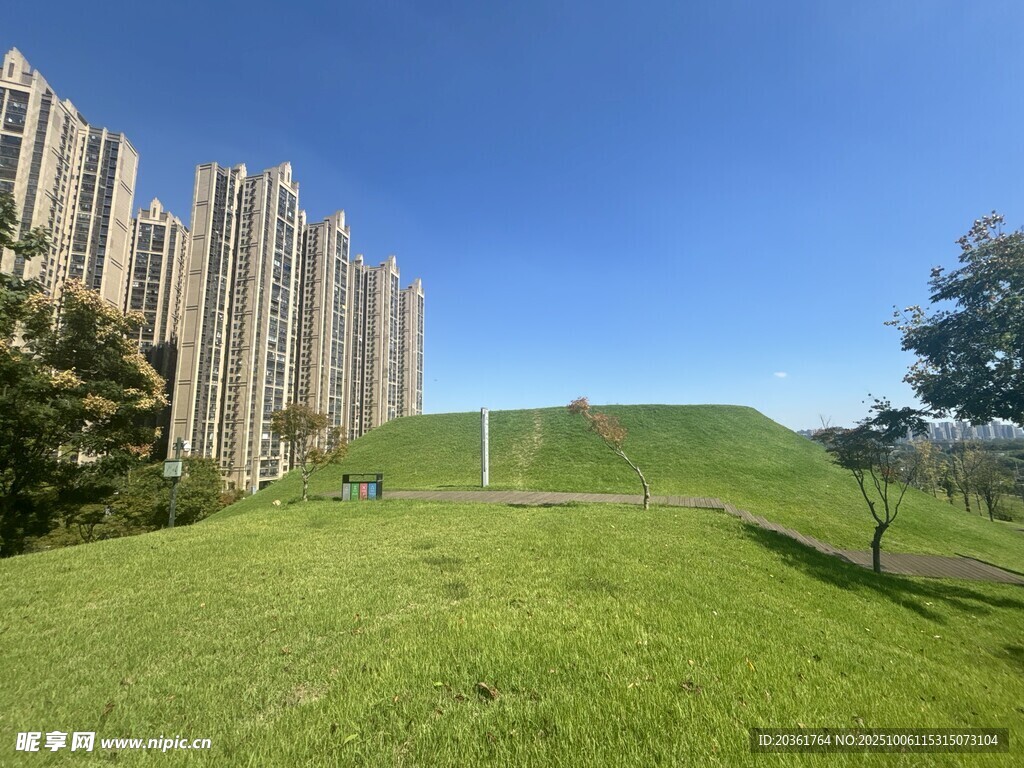 城市绿地旁的高楼景观