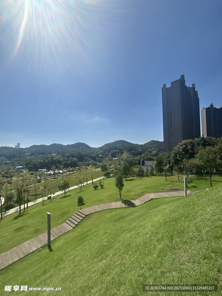 城市绿地中的惬意户外风光