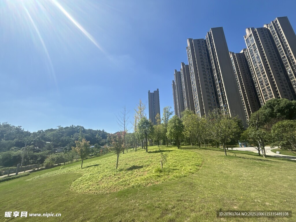 城市绿地旁的高楼景观