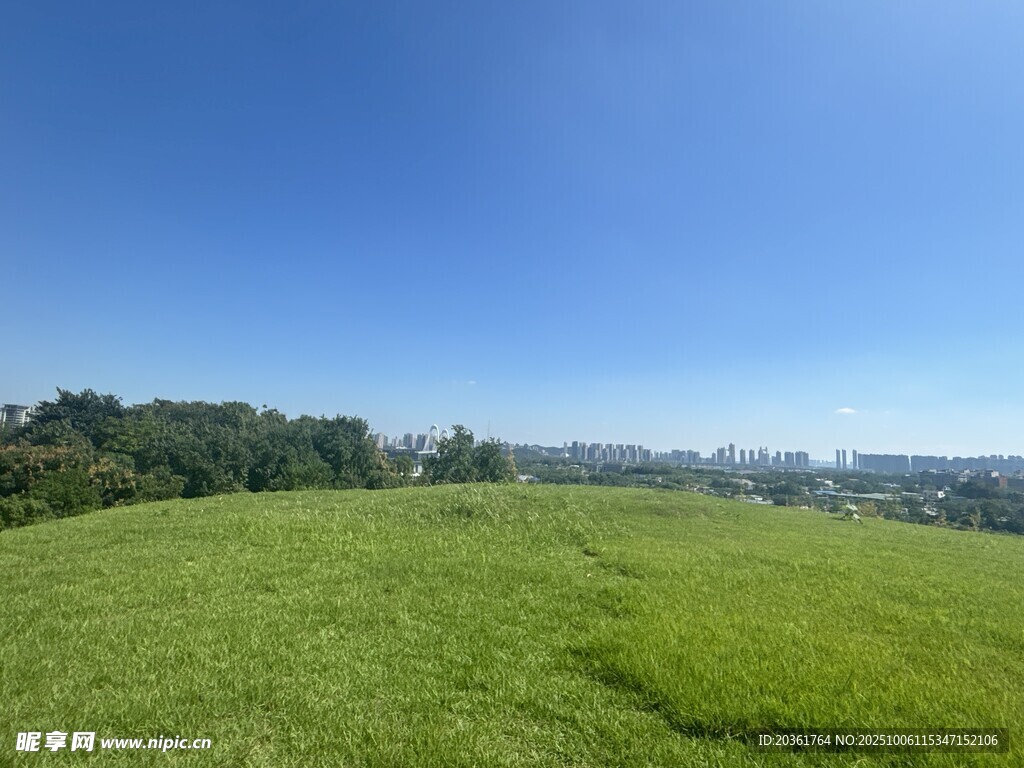 翠绿草地与蓝天美景