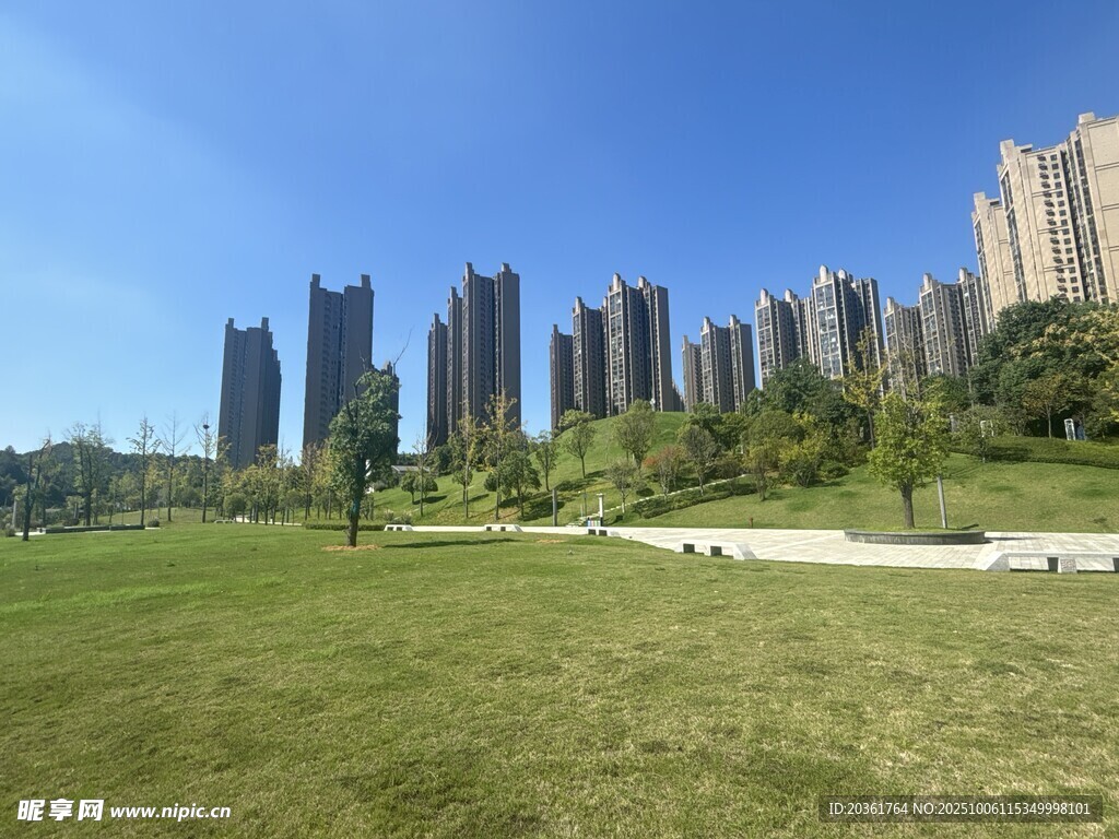 城市绿地旁的高楼景观