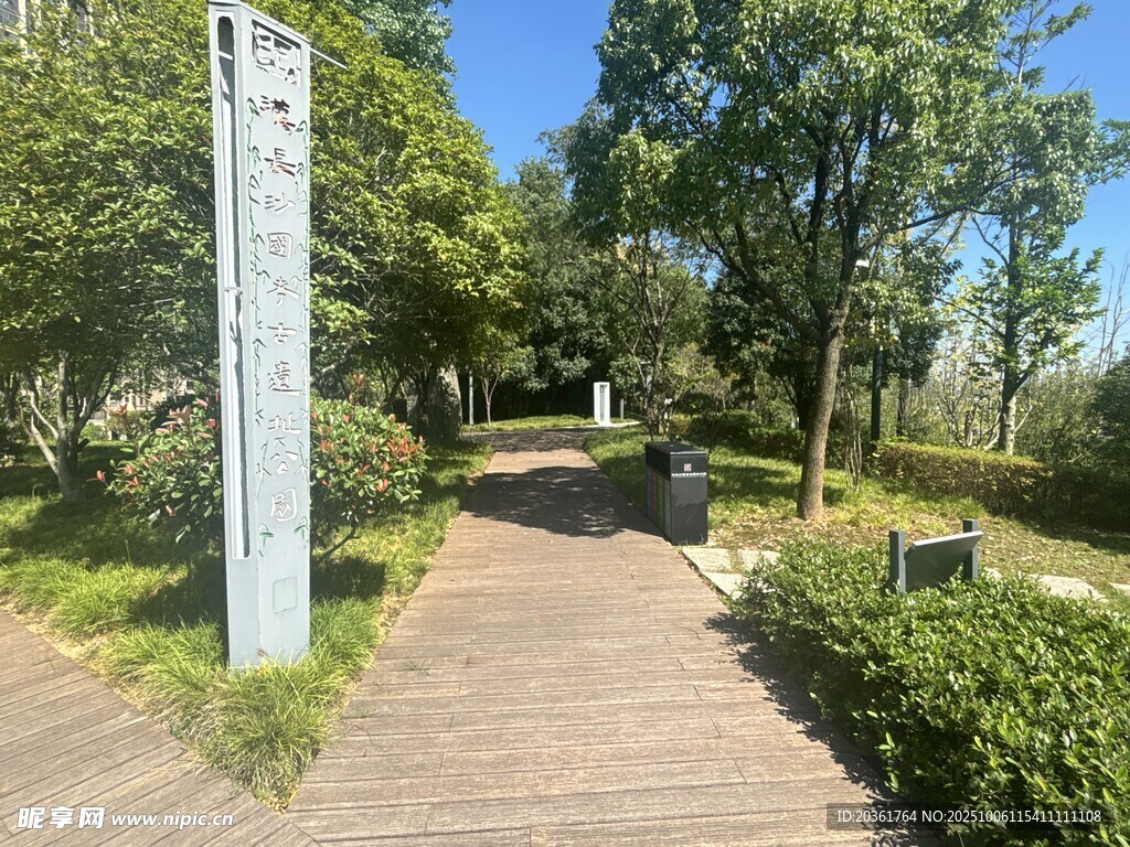 林间木栈道