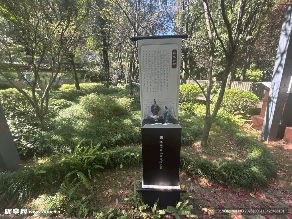 林中墓碑