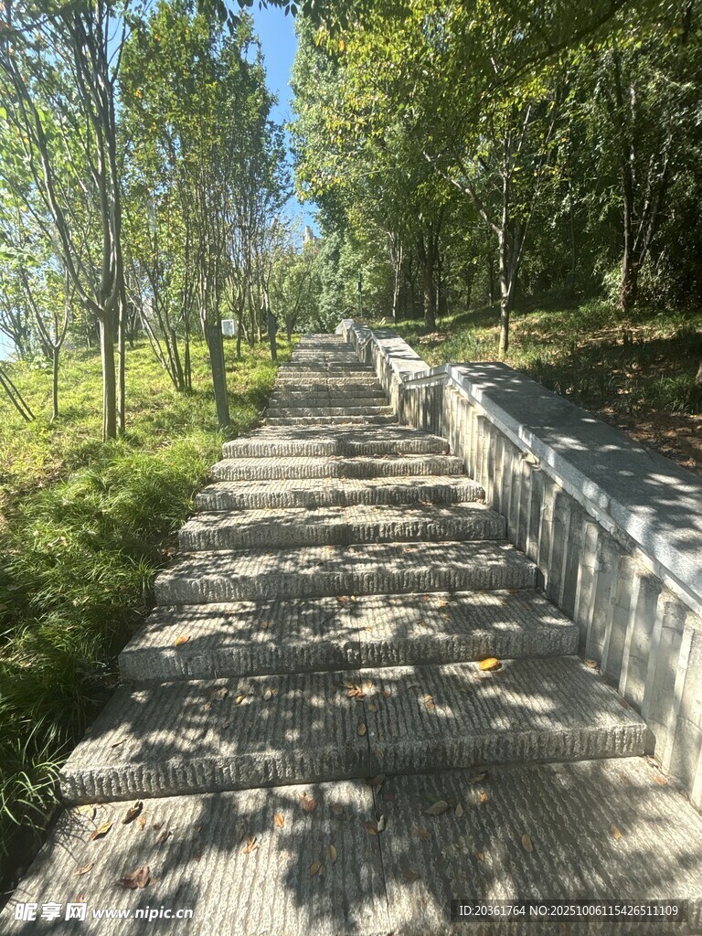 林间漫步小道