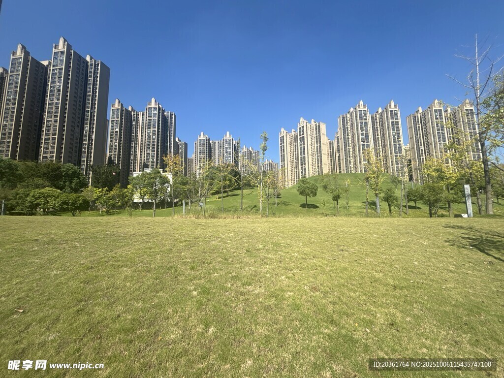 城市草地旁的高楼景观