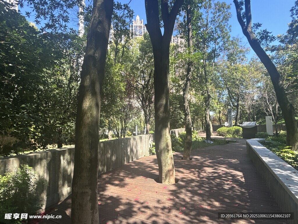 林间幽静步道景色