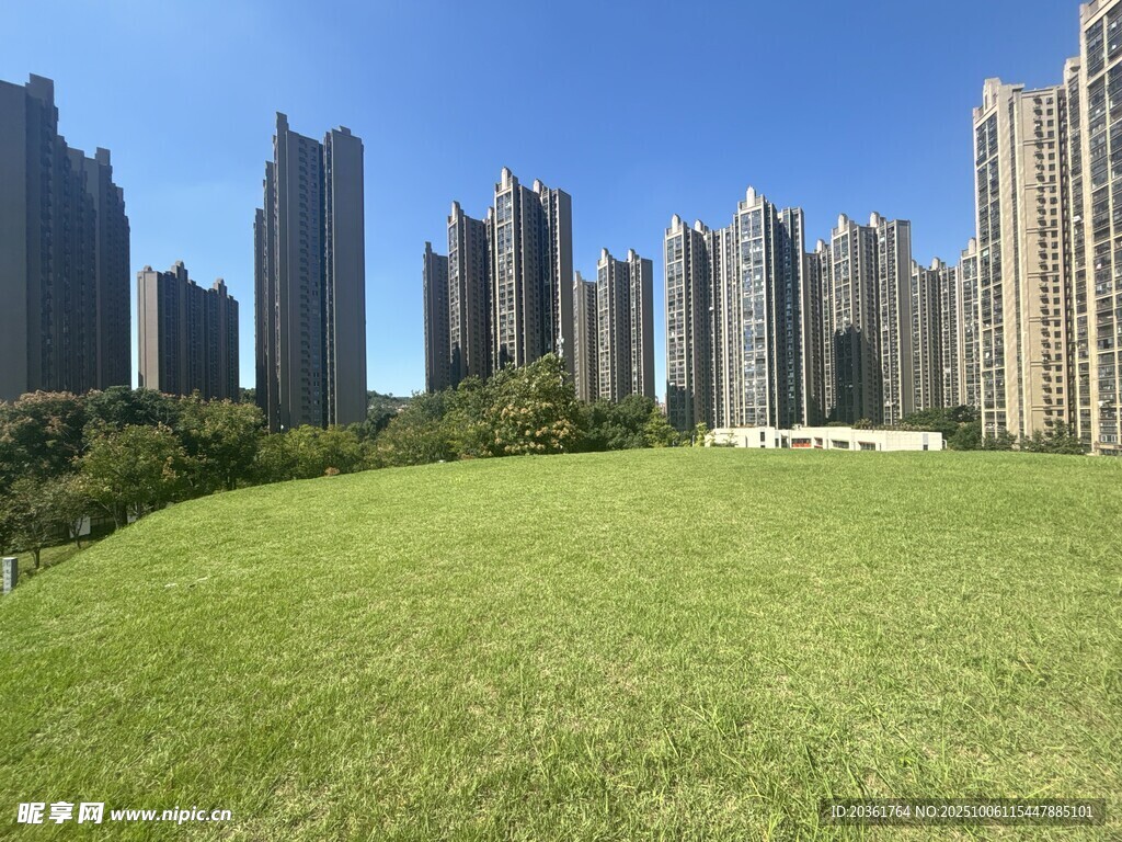 城市草地旁的高楼景观