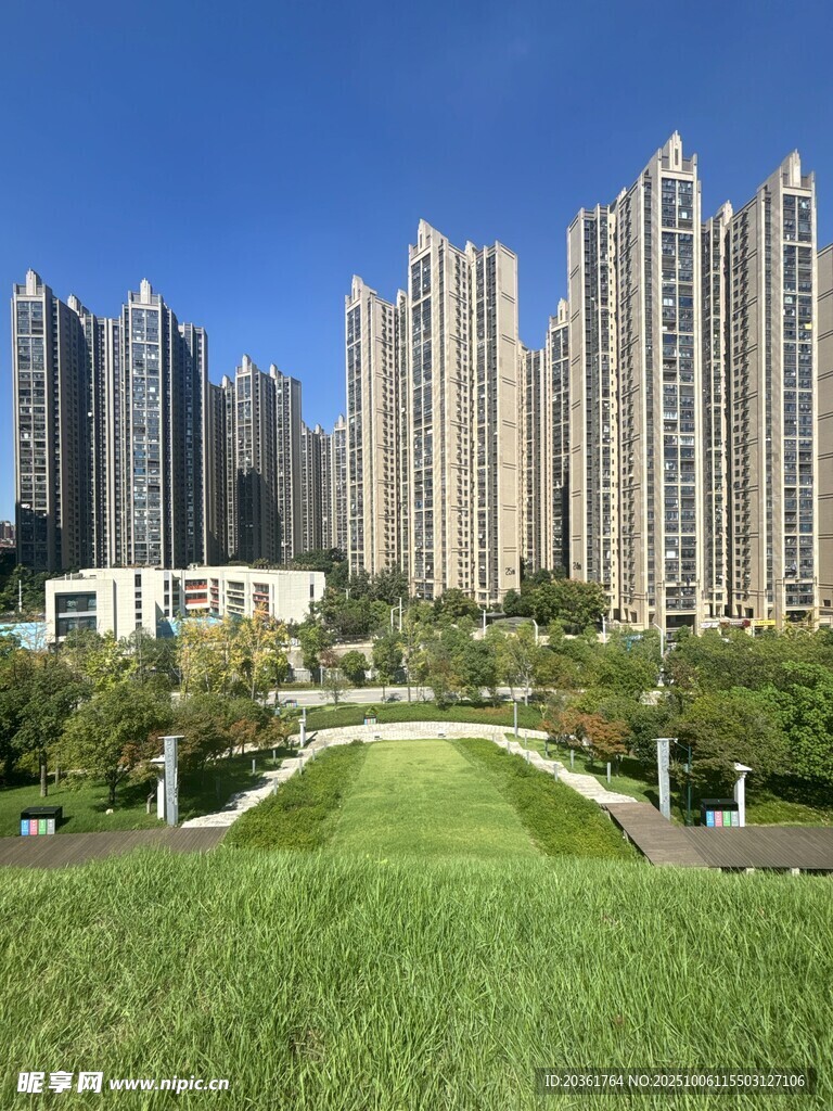 城市中的绿地与高楼景观