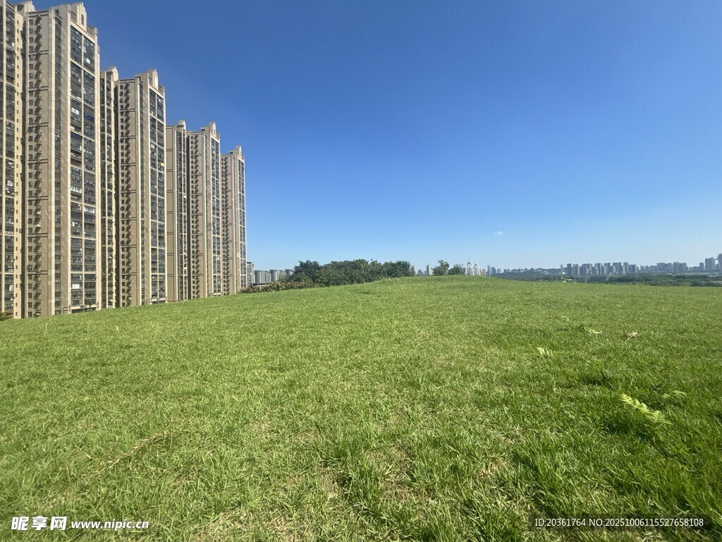 高楼旁的广袤绿色草地