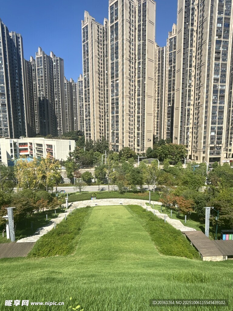 城市中的绿地与高楼景观