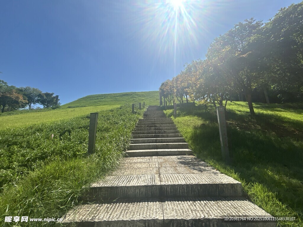 阳光照耀下的山间石阶