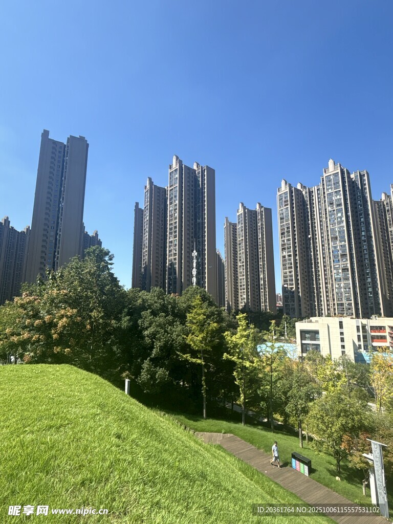 城市绿地旁的高楼景观