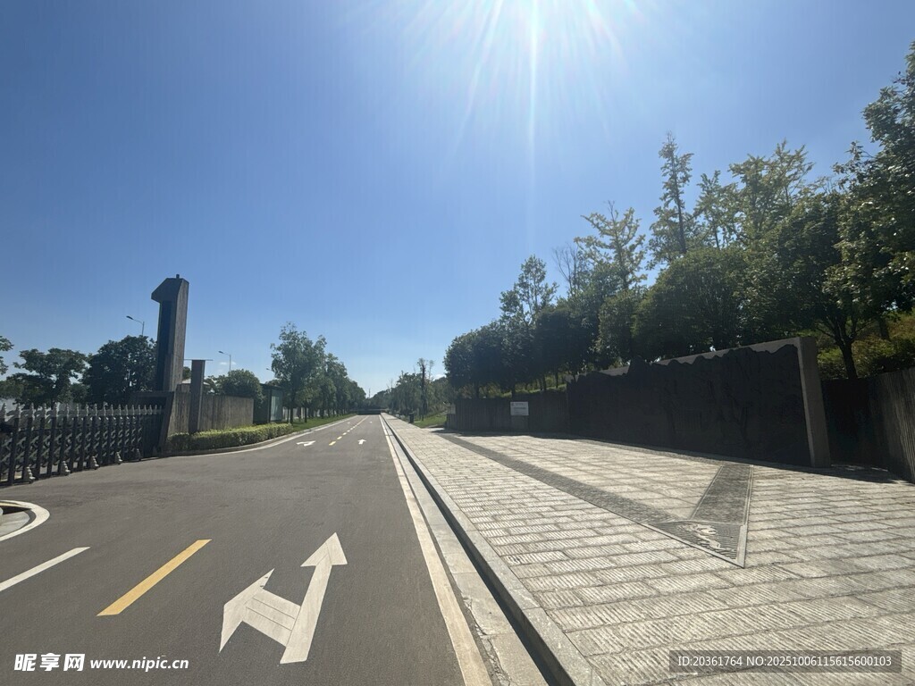 城市道路旁的阳光景致