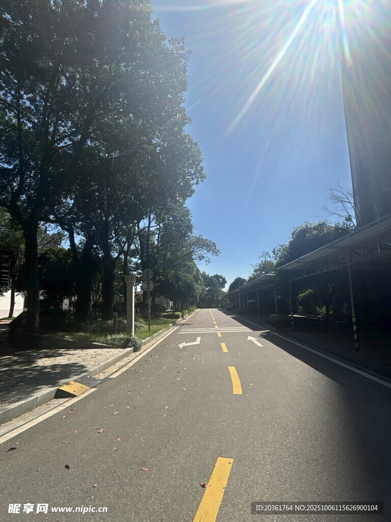 阳光照耀下的空旷道路