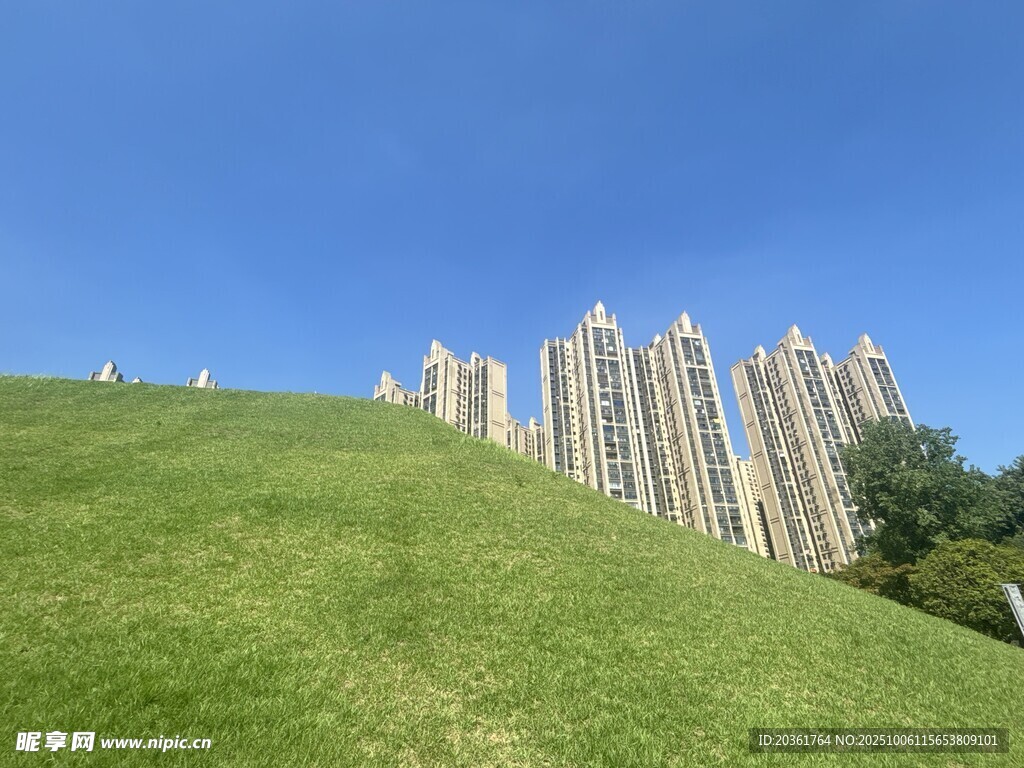 绿草坡前的高楼建筑群